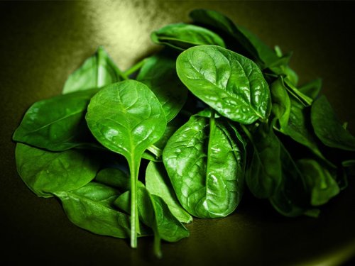 Spinach extract may accelerate wound healing in people with diabetes