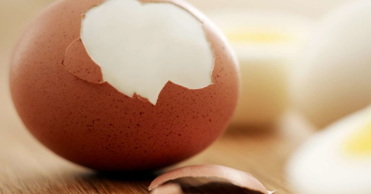 The egg diet plan: Is it effective?