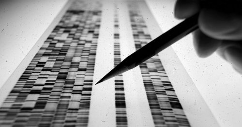 Scientists set out to 'rewrite' DNA for the first cure for genetic heart diseases