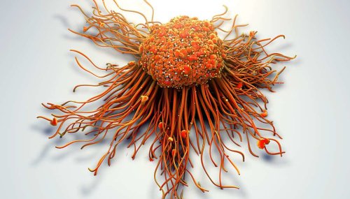 Stopping tumor cell movement halts cancer spread