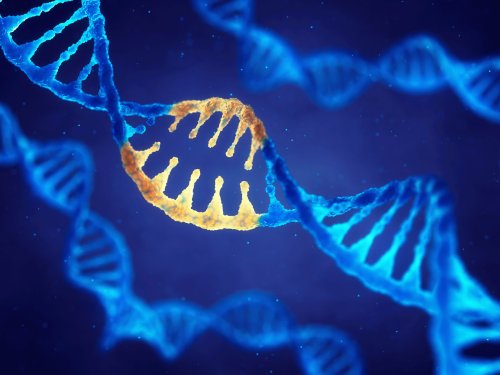 8 Organizations Leading Innovation in Gene Therapy