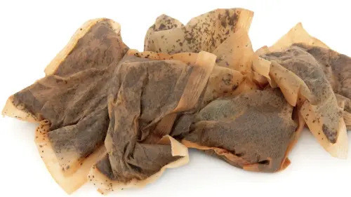 You'll Never Throw Away Tea Bags After Reading This