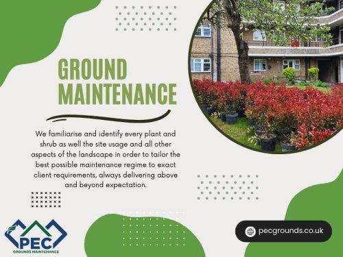 Ground Maintenance Near Me