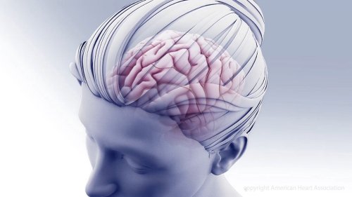 Dementia Starts Sooner Than You Think Flipboard