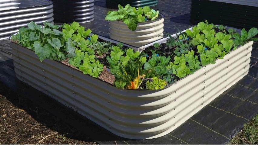 Using the advanced raised bed gardening technique for growing your plants