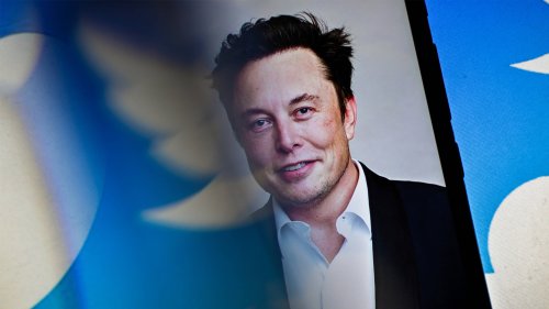 Elon Musk lässt über „Generalamnestie“ für gesperrte Twitter-Accounts abstimmen