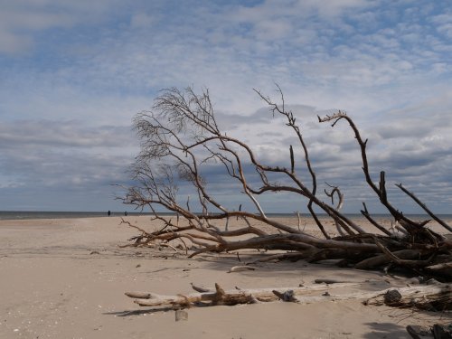 Lettland: Genialer Roadtrip von Riga zum Kap Kolka