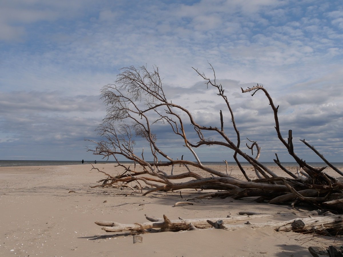 Lettland: Genialer Roadtrip von Riga zum Kap Kolka