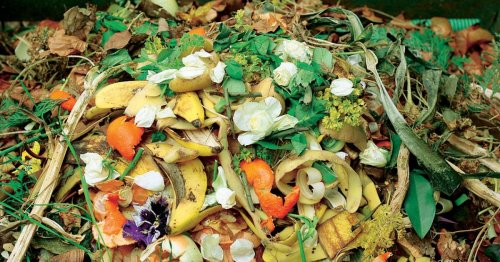 15 Tipps rund um den Kompost