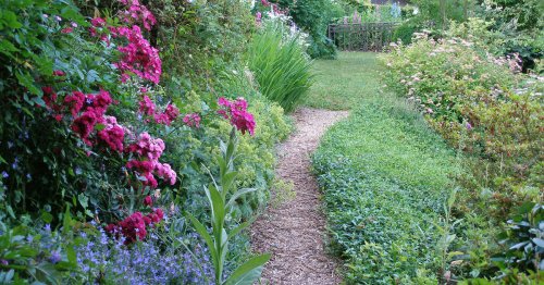 Nachhaltige Gartengestaltung: 5 clevere Tipps