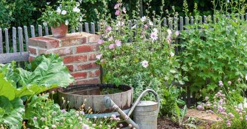 10 Tipps für nachhaltiges Gärtnern