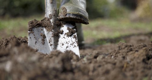 Umgraben: Sinnvoll oder schädlich für den Boden?