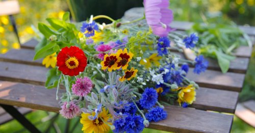 7 Tipps, mit denen der Blumenstrauß in der Vase länger hält