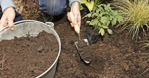 So erhöhen Sie den Humusgehalt Ihres Gartenbodens