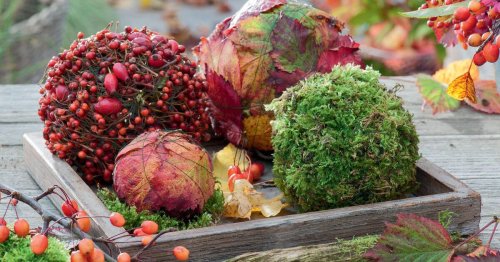 Herbstdeko basteln: 13 schöne Ideen zum Nachmachen