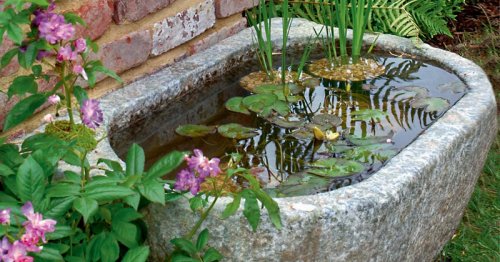 Wassergärten auf kleinstem Raum
