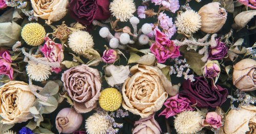Trockenblumen: 3 schöne Deko-Ideen