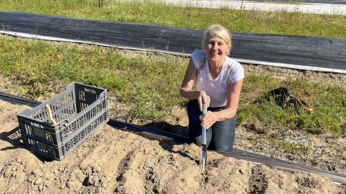 Ferme des Sables Blancs: Weißes Gold im Sand