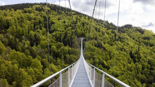 Zu Fuß über den Wasserfall: Hängebrücke im Hochschwarzwald eröffnet