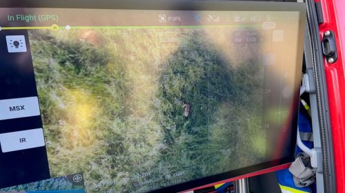 Feuerwehr spürt Rehkitze mit Drohnen in Wiesen und Feldern auf