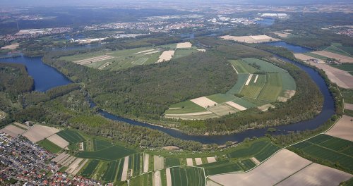Rhein-Damm Elisabethenwört: 1,5 Millionen Euro teure Sanierung beginnt