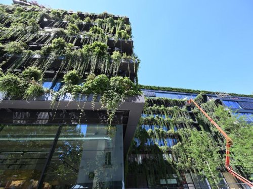 Grüne Fassade soll Stuttgarts Klima helfen