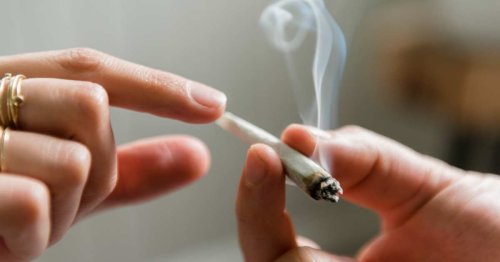 New Research Uncovers Shocking Link Between Cannabis and Dementia