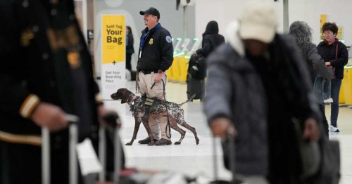 TSA Warns Travelers to Expect Possible Upcoming Airport Delays