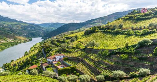 Meet Vinho Verde, Portugal’s Warm-Weather Wine