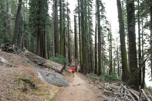 Most Scenic Trail Runs in Yosemite National Park