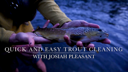 Quick and Easy Trout Cleaning - Get your trout skillet-ready with this quick breakdown from Josiah Pleasant