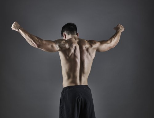 Researchers Reveal Best Food to Build Muscle by Summer