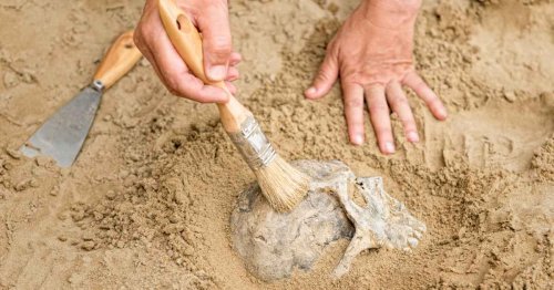 Archaeologists Discover 30,000-Year-Old Remains of Child in Popular National Park