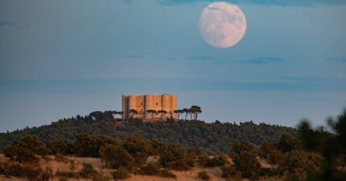 Previously Uncharted Medieval Castle Discovered After Centuries