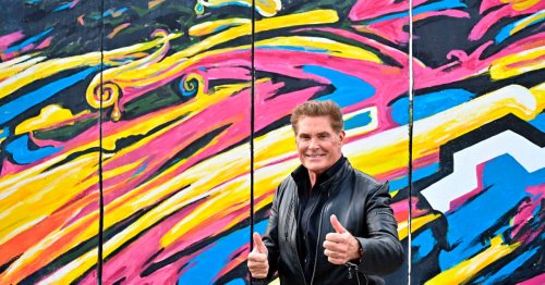 David Hasselhoff, 72, Looks Nearly Unrecognizable in First Photos Since Ex-Wife’s Death