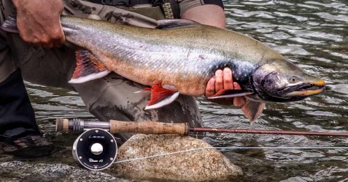 Buying a Fly Fishing Rod Can Feel Like March Madness-How To Select the Right One