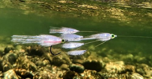 Fly Fishing's New Fly: A Creative Twist on a Natural Pattern.