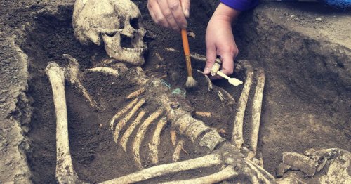Archaeologists Unearth Continent’s Oldest Human Face