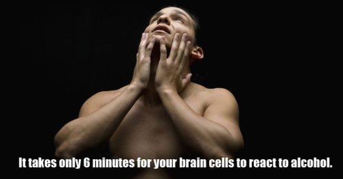 20 Amazing Facts About The Human Brain That Will Blow Your Mind