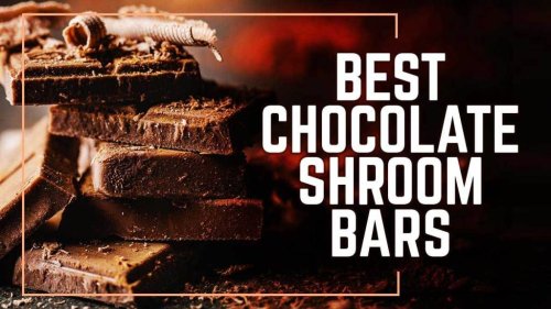 Best Chocolate Shroom Bars of 2024: Comparing Flavors, Strengths & Effects
