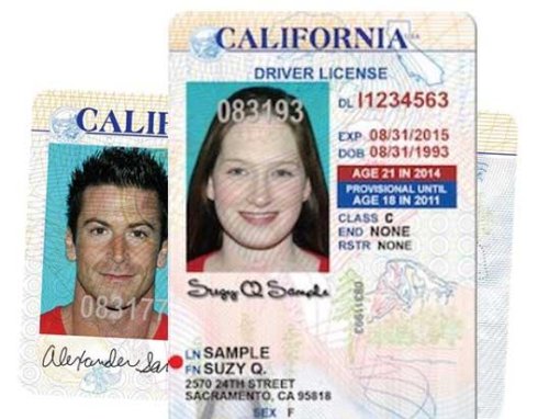 california dmv drivers license template photoshop