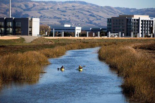 36-5m-from-monsanto-water-pollution-settlement-headed-to-bay-area