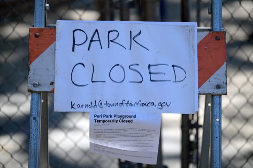 Flea infestation shutters Bay Area playground | Flipboard