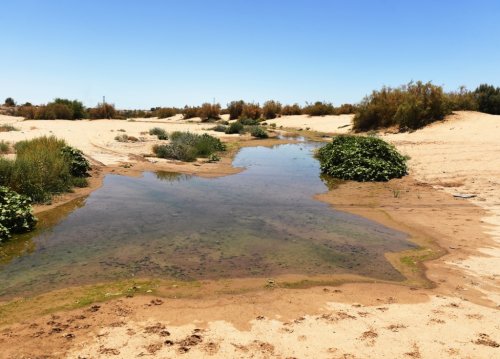 5-key-facts-about-the-rapidly-drying-colorado-river-a-quick-read