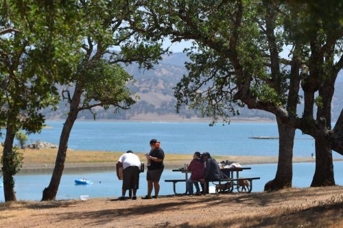 East Bay father drowns trying to rescue son at Lake Berryessa holiday outing
