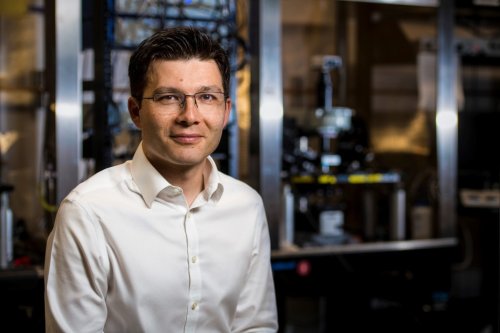 Stanford Scientists Implant Human Cells Into A Rat s Brain And Get It 