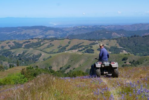 The rancher who is a scientist: Carmel Valley man uses his lab discoveries to help his ranch fight climate change