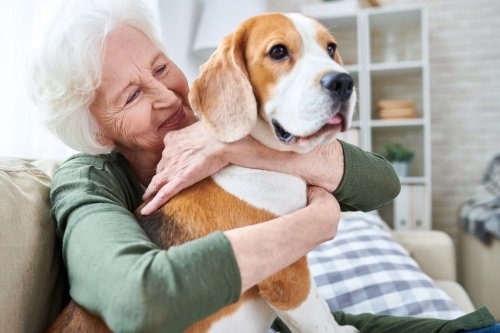 For the Love of Pets: The benefits of the human-animal bond