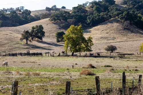 Will the first cemetery built in San Jose since the 1880s come to Coyote Valley?