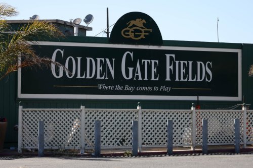 Layoffs jolt Bay Area: Golden Gate Fields, Genentech, Intel ax hundreds